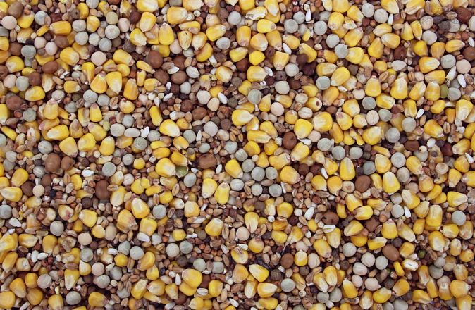 Populair Duivenvoer <br>20 kg