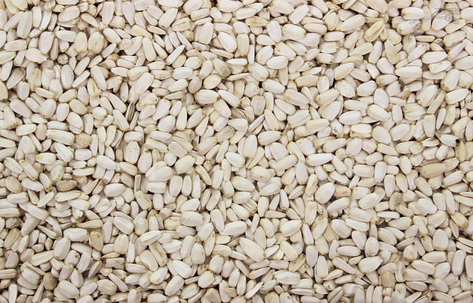 Zonnepitten Wit 500 gr