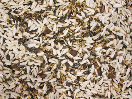 Papegaaienvoer Speciaal 20 kg